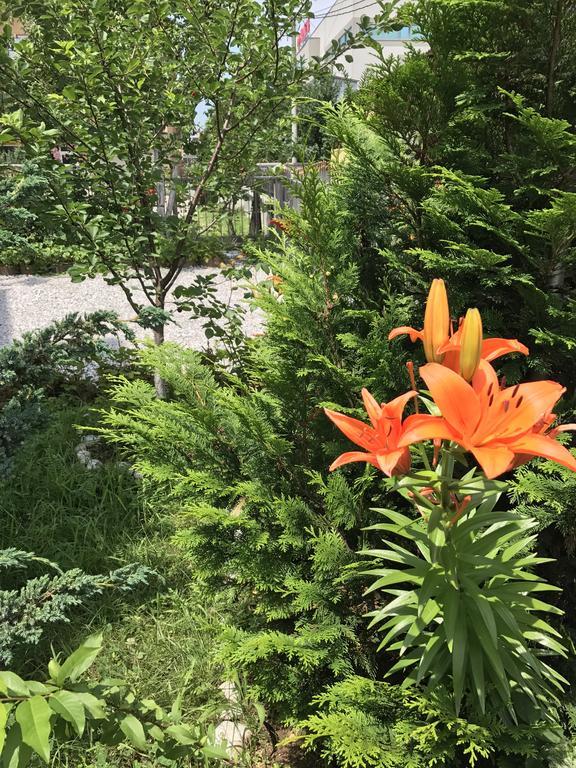 Apartment Near The Airport サラエヴォ エクステリア 写真