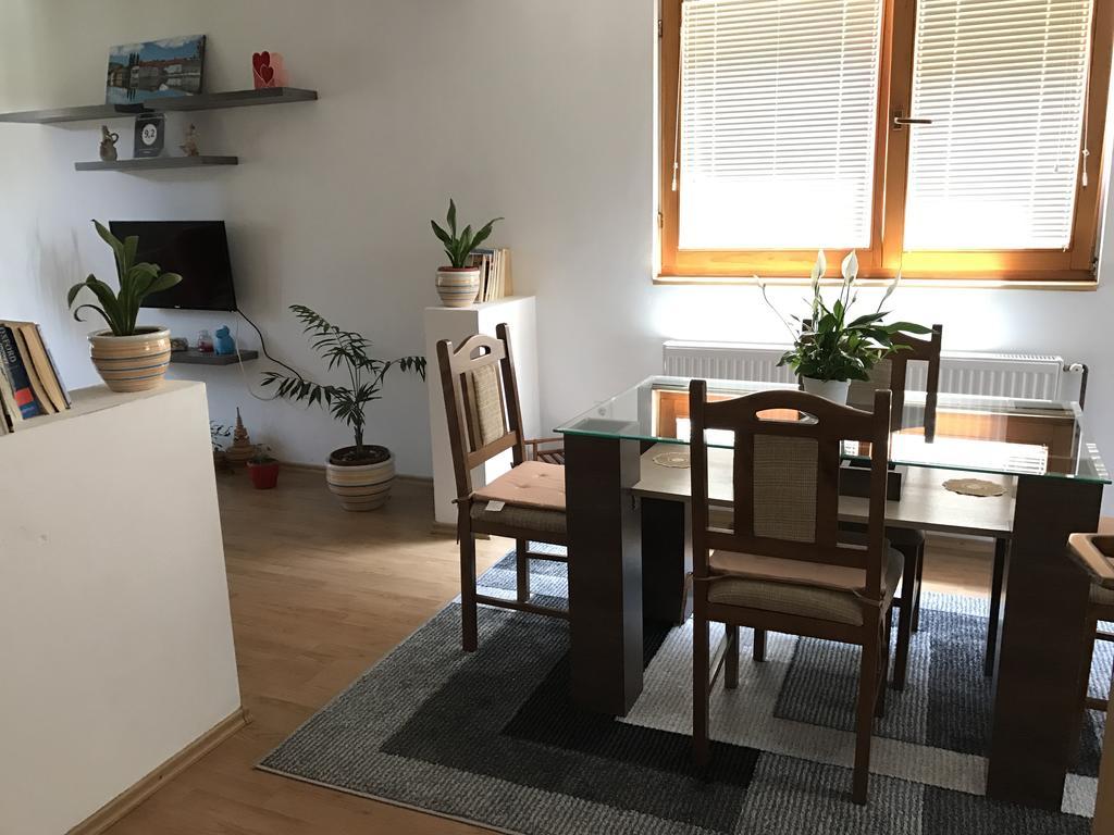 Apartment Near The Airport サラエヴォ エクステリア 写真